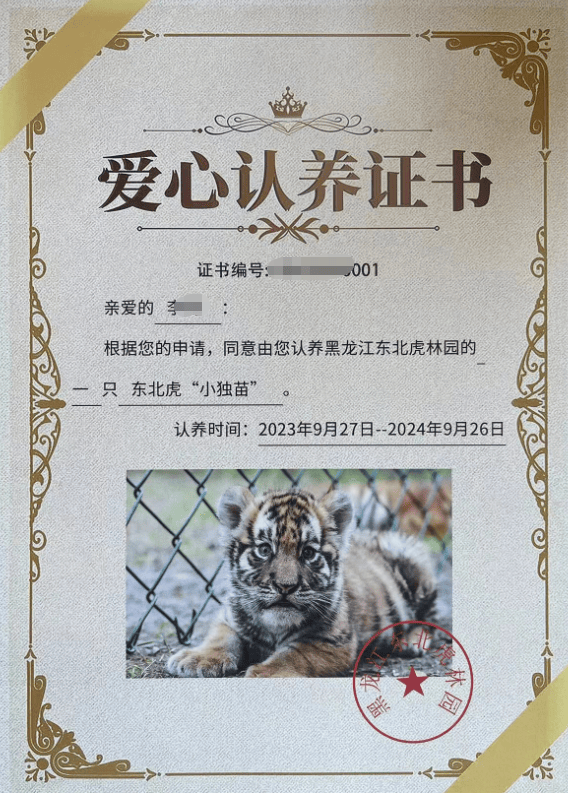 皇冠信用盘开户_女子花2000余元认养东北虎2年却被隐瞒死讯 当事人称园方未主动反馈情况皇冠信用盘开户，认为死因存疑