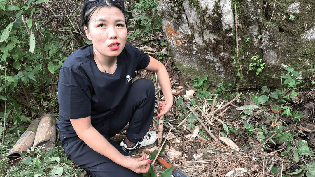 皇冠信用盘会员开户申请_七星山“荒野求生”爆火皇冠信用盘会员开户申请！安全怎么保障？景区最新回应→