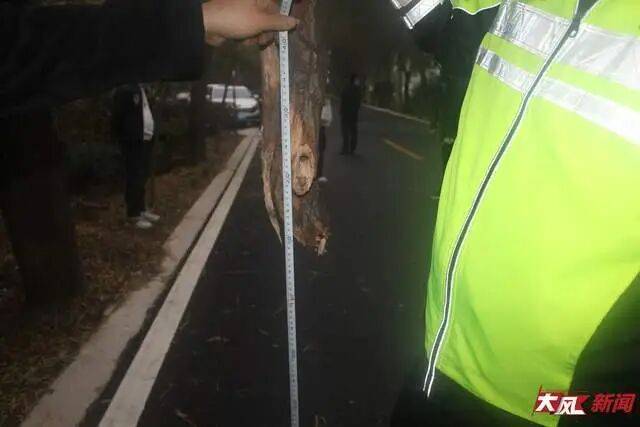 皇冠信用盘怎么弄_陕西兴平56岁女教师骑电动车“撞树枝”身亡皇冠信用盘怎么弄，交警判定担主责，家属提出诸多质疑，多方回应