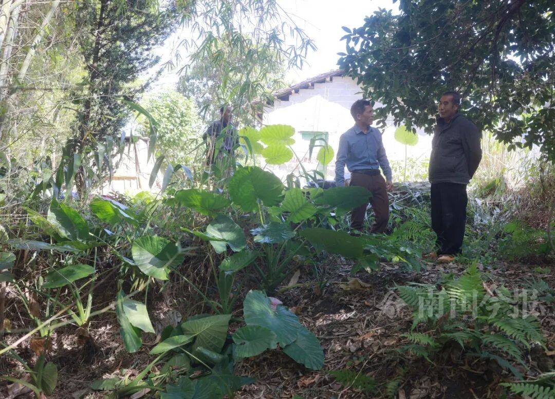 皇冠信用网登3代理_柳州钓鱼阿叔竹林挖蚯蚓皇冠信用网登3代理，竟挖出千年前的“大宝贝”！