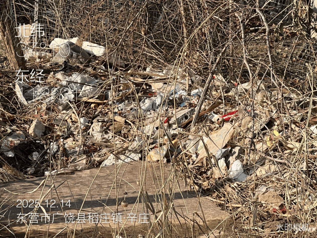 意大利乙组联赛
_广饶县:农村人居环境亟待提升