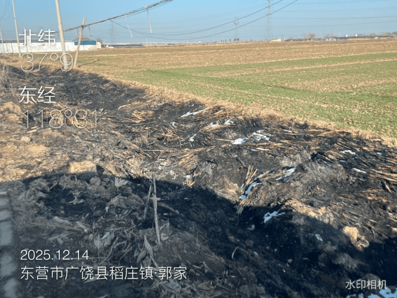 意大利乙组联赛
_广饶县:农村人居环境亟待提升