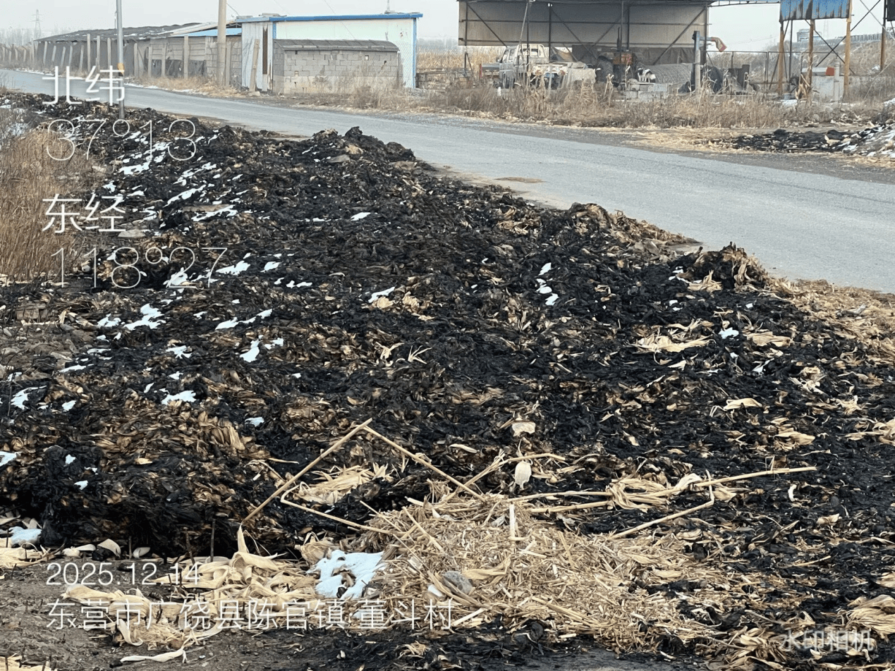 意大利乙组联赛
_广饶县:农村人居环境亟待提升