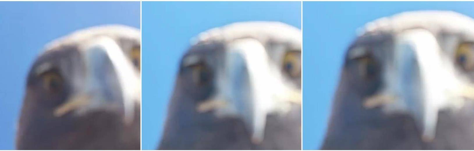 皇冠登2代理
_土耳其老鹰空中抓走无人机皇冠登2代理
,带上山顶“玩自拍”