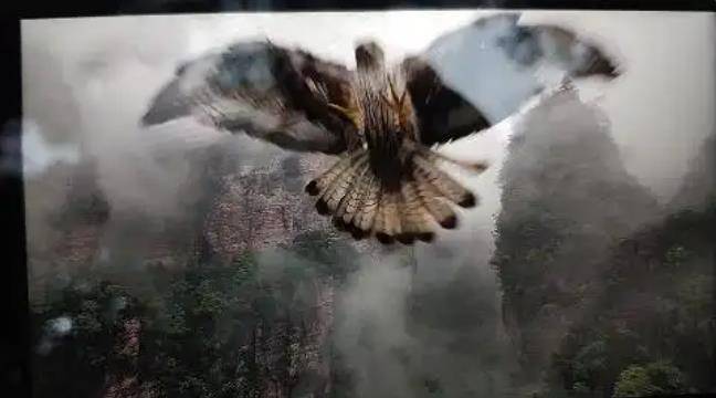 皇冠登2代理
_土耳其老鹰空中抓走无人机皇冠登2代理
,带上山顶“玩自拍”