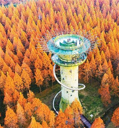 辛辛那堤vs费城联
_《文旅深度融合“盐城路径”》发布