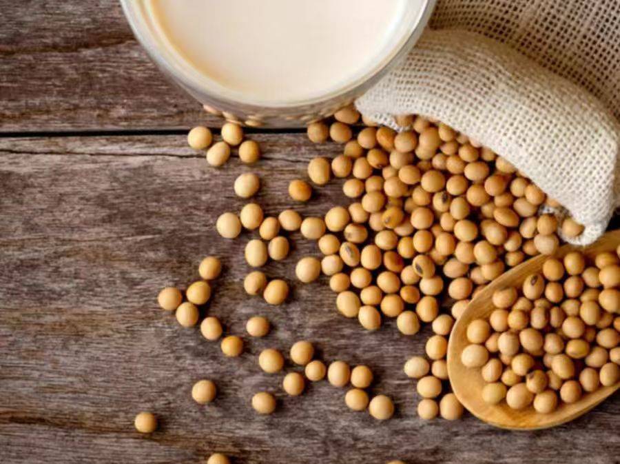 剑桥联vs查尔顿
_特朗普登机访华前剑桥联vs查尔顿
,美国全球通报:中国已购入800万吨大豆