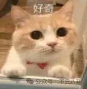 皇冠信用网平台出租_要结婚了皇冠信用网平台出租？恋情居然瞒了整整六年......